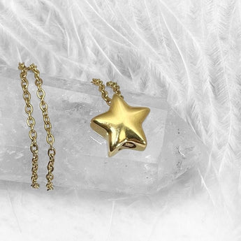 Gold Star Urn Necklace