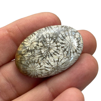 Custom Coral Fossil Urn Necklace - Sacred Spirit Relics