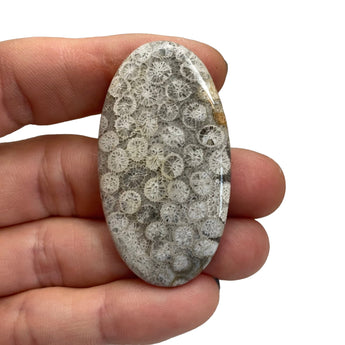 Custom Coral Fossil Urn Necklace - Sacred Spirit Relics