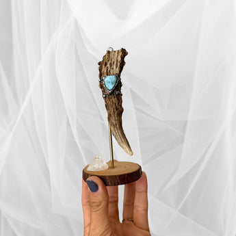 Mini Display Urn | Naturally Shed Deer Antler | One Of A Kind Cremation Urn | Unique Crystal Antler Urn